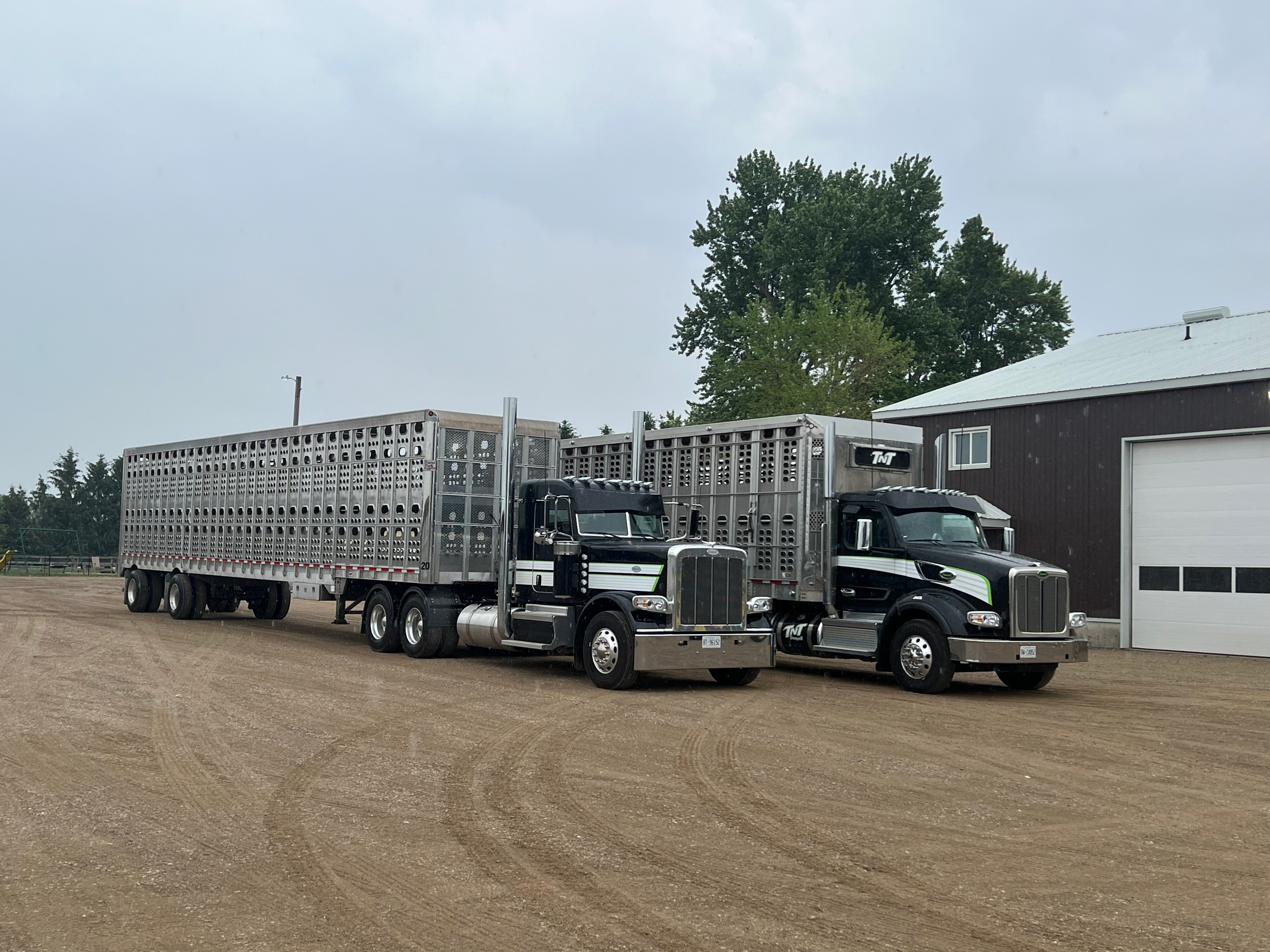 TNT Transport