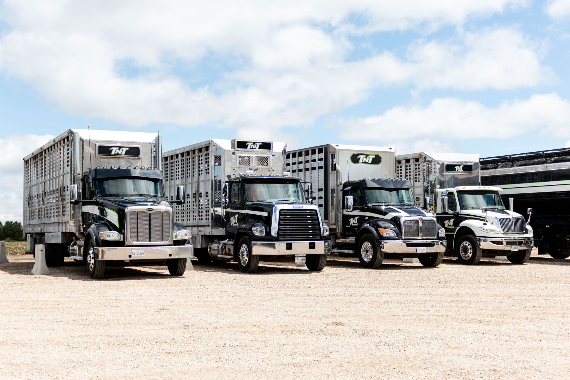 TnT Transport livestock trailer